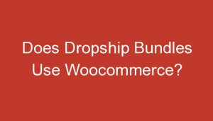 Read more about the article Does Dropship Bundles Use Woocommerce?