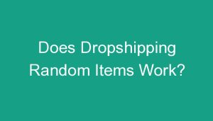 Read more about the article Does Dropshipping Random Items Work?