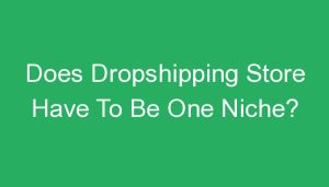 Read more about the article Does Dropshipping Store Have To Be One Niche?
