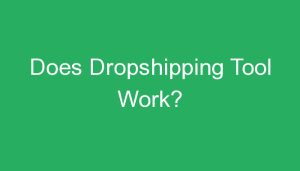 Read more about the article Does Dropshipping Tool Work?