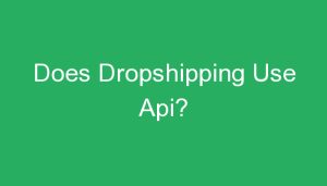 Read more about the article Does Dropshipping Use Api?