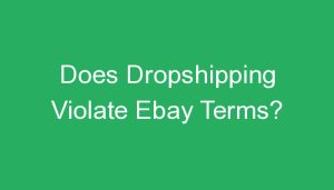 Read more about the article Does Dropshipping Violate Ebay Terms?