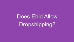 Read more about the article Does Ebid Allow Dropshipping?