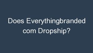Read more about the article Does Everythingbranded com Dropship?