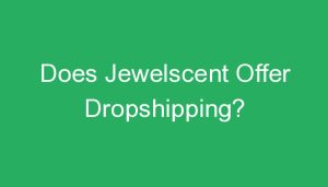 Read more about the article Does Jewelscent Offer Dropshipping?