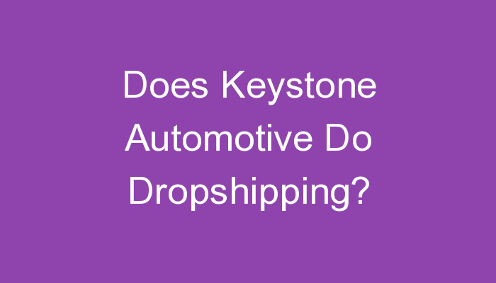 Read more about the article Does Keystone Automotive Do Dropshipping?