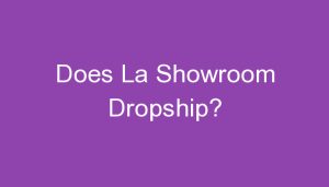 Read more about the article Does La Showroom Dropship?