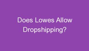 Read more about the article Does Lowes Allow Dropshipping?