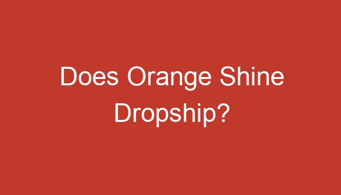 Read more about the article Does Orange Shine Dropship?
