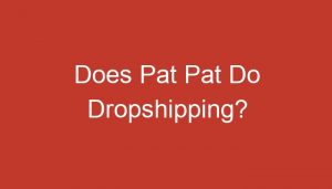 Read more about the article Does Pat Pat Do Dropshipping?