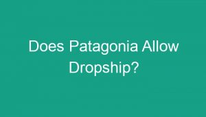 Read more about the article Does Patagonia Allow Dropship?