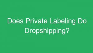 Read more about the article Does Private Labeling Do Dropshipping?