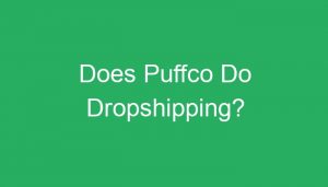 Read more about the article Does Puffco Do Dropshipping?