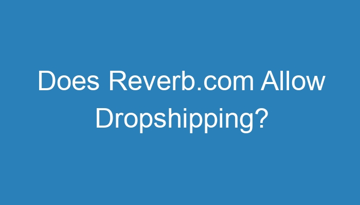 Read more about the article Does Reverb.com Allow Dropshipping?
