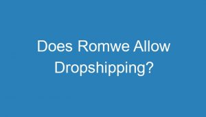 Read more about the article Does Romwe Allow Dropshipping?