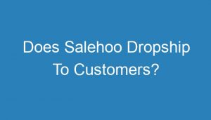 Read more about the article Does Salehoo Dropship To Customers?