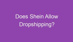 Read more about the article Does Shein Allow Dropshipping?
